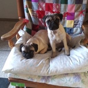 Meet your Posher, Kathy